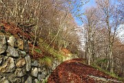 10 Strada colorata d'autunno